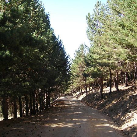 Hostal Rural Poqueira カピレイラ エクステリア 写真