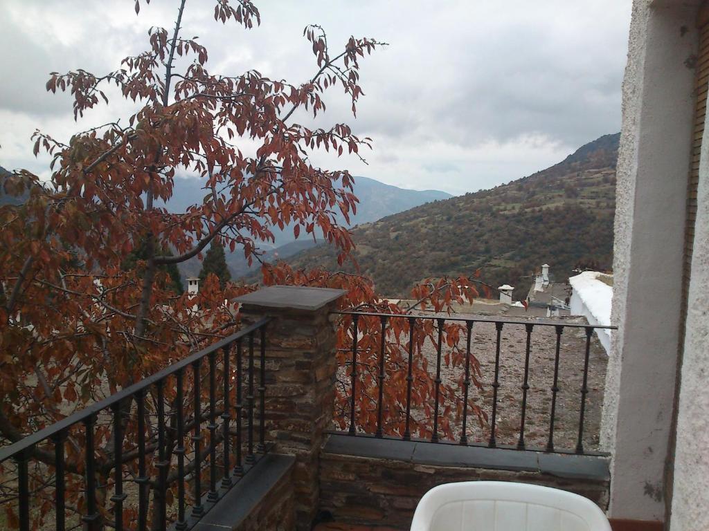 Hostal Rural Poqueira カピレイラ エクステリア 写真